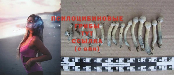 дмт Алексин