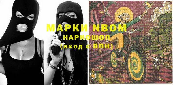 дмт Алексин